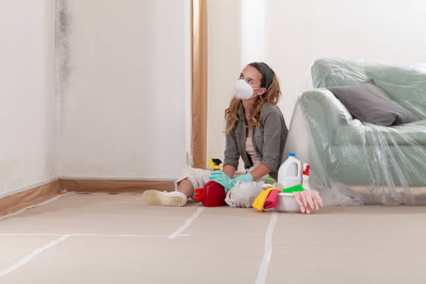 Reliable Hvac And Air Duct Mold Remediation contractor in Clearwater, MN by Car Mold Remediation